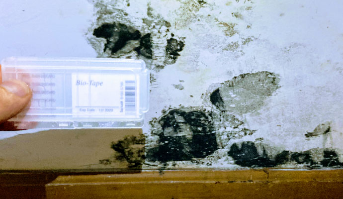 Mold remediation containment barrier