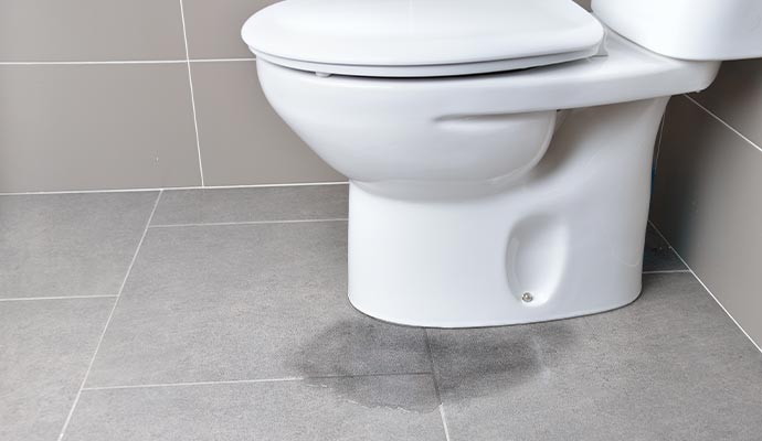 Leaking toilet