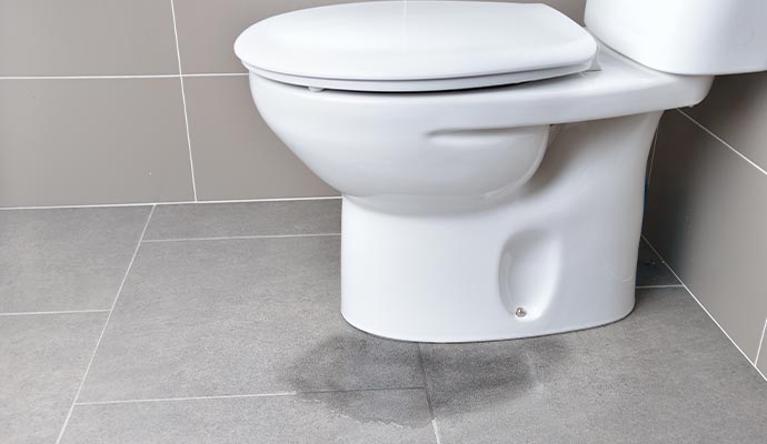 Toilet leaking water