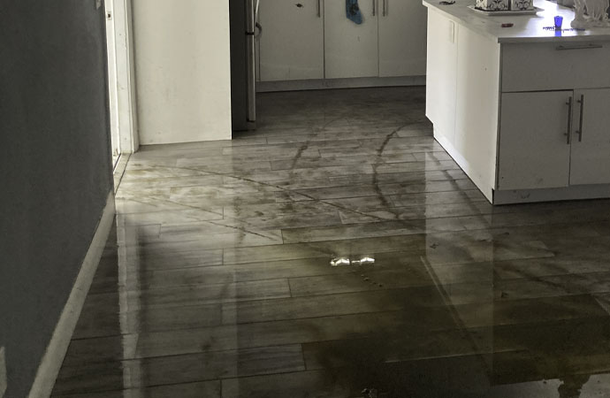 7 Dangerous Reasons Not to Ignore Water Damage