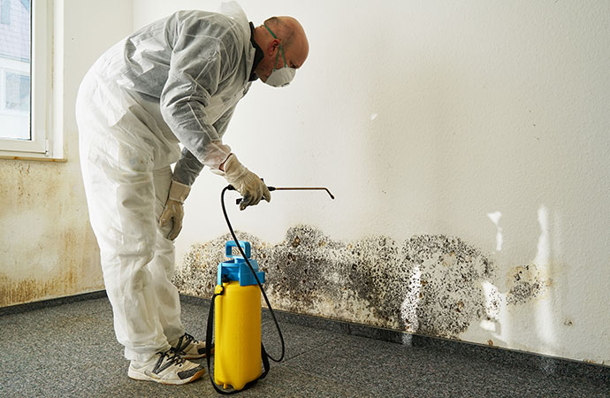 Mold Remediation in Kershaw County