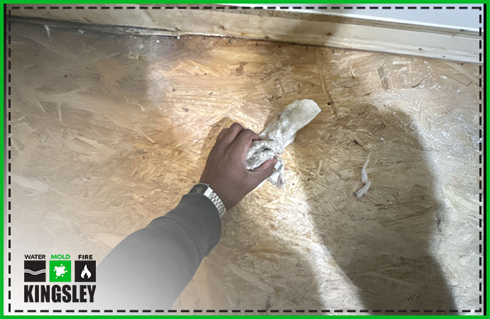 Commercial Mold Restoration & Sanitation