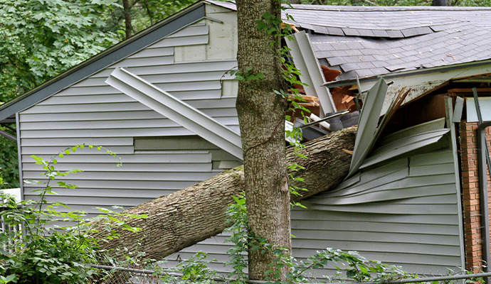 Storm damage property