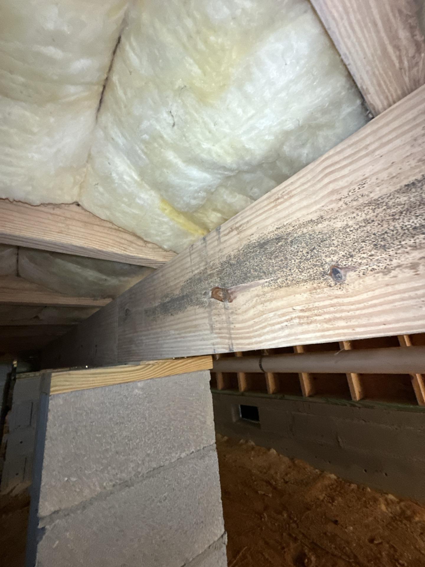 Mold Testing in Crawlspace in Elgin, SC