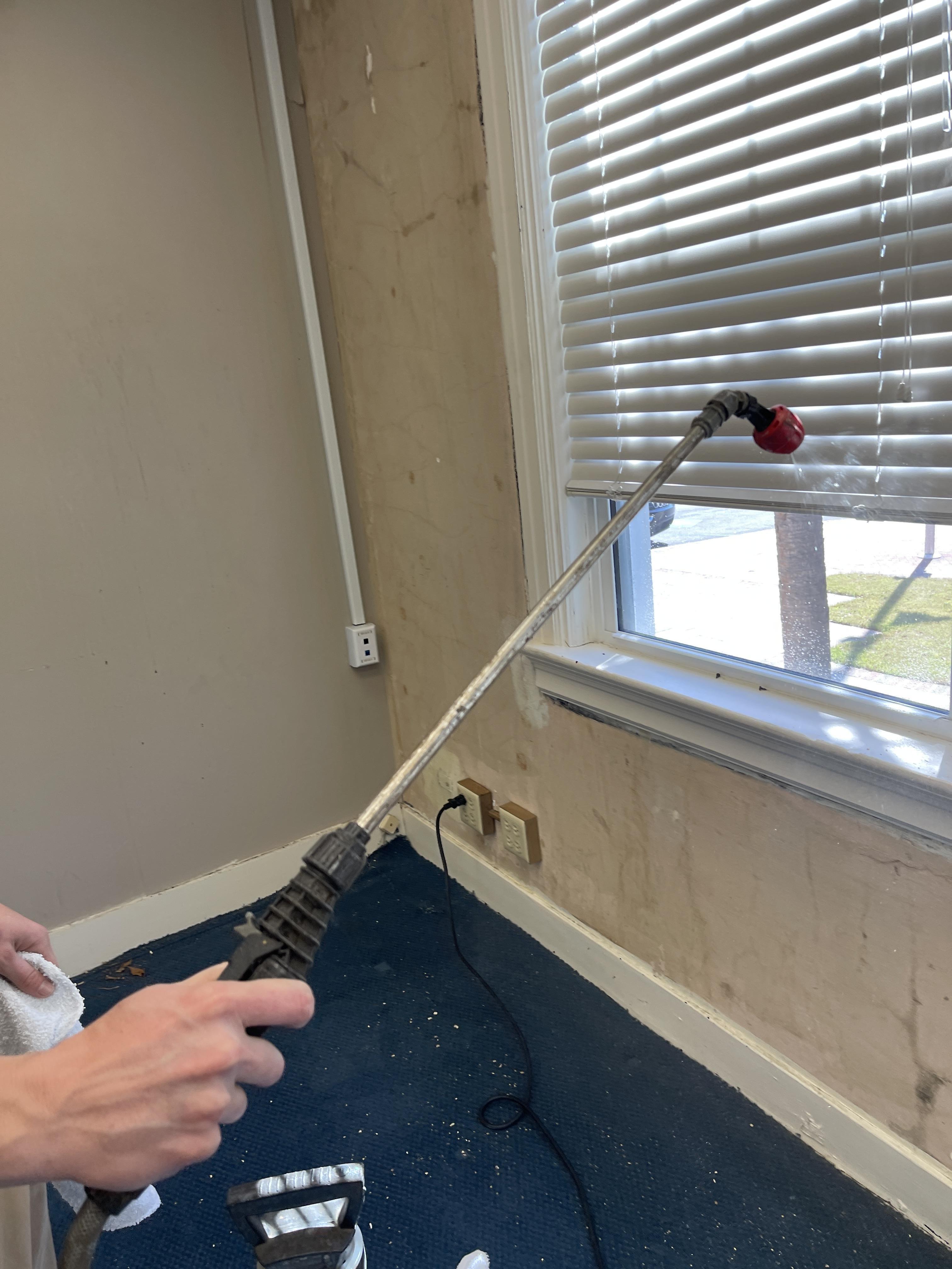 Mold Remediation in Commercial Building