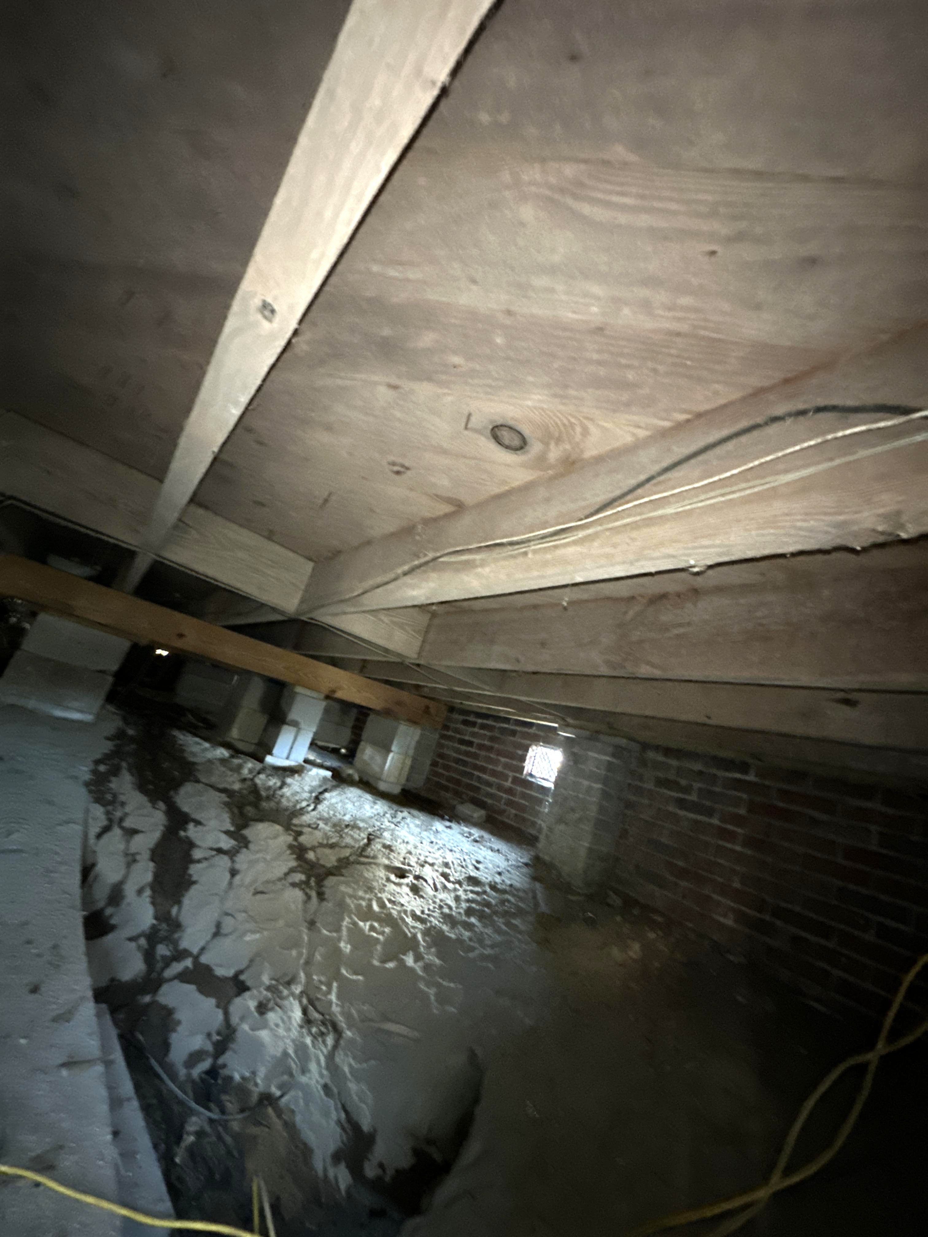 Potential Mold in Crawlspace