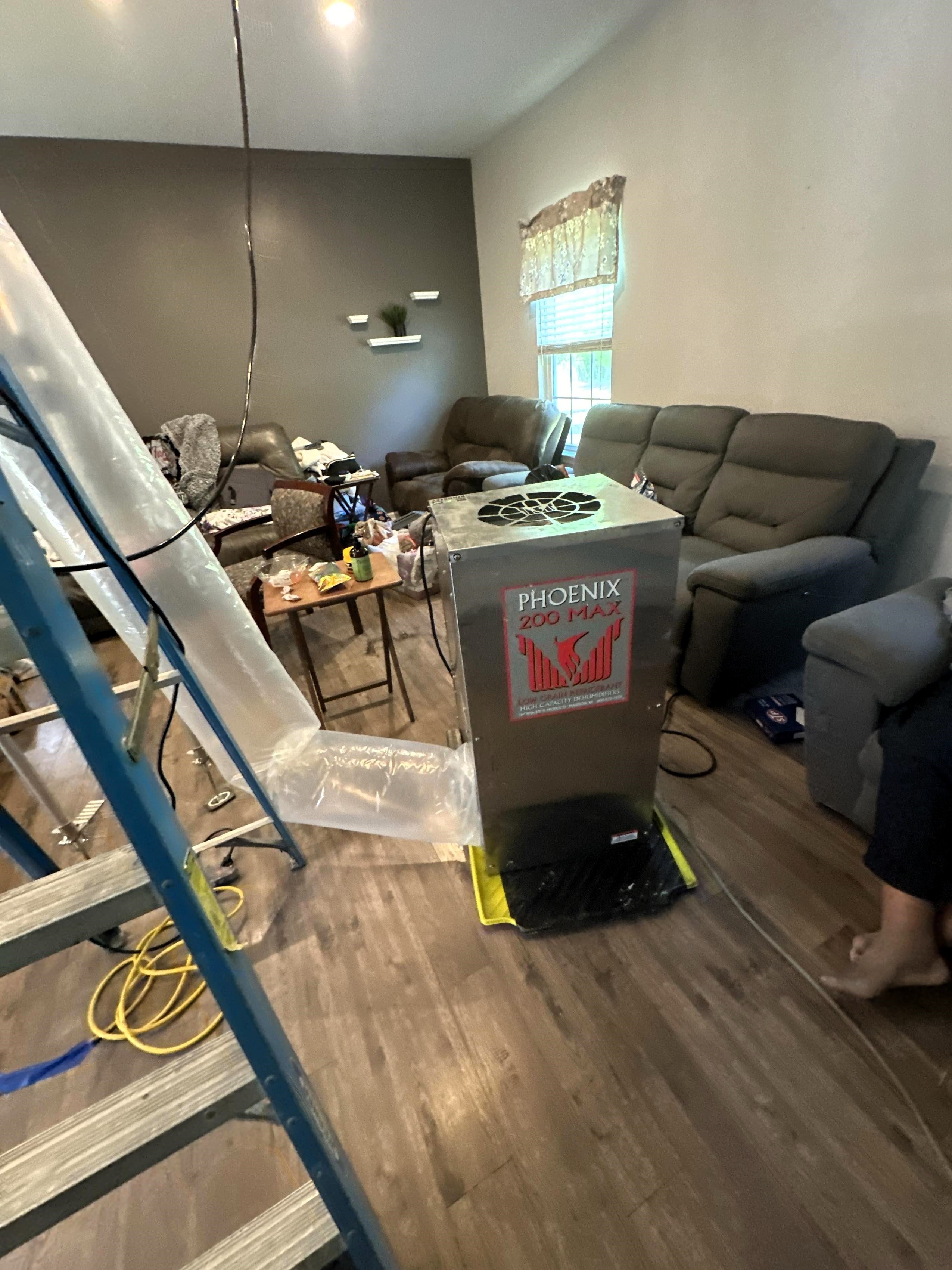 Dehumidifier in Living room