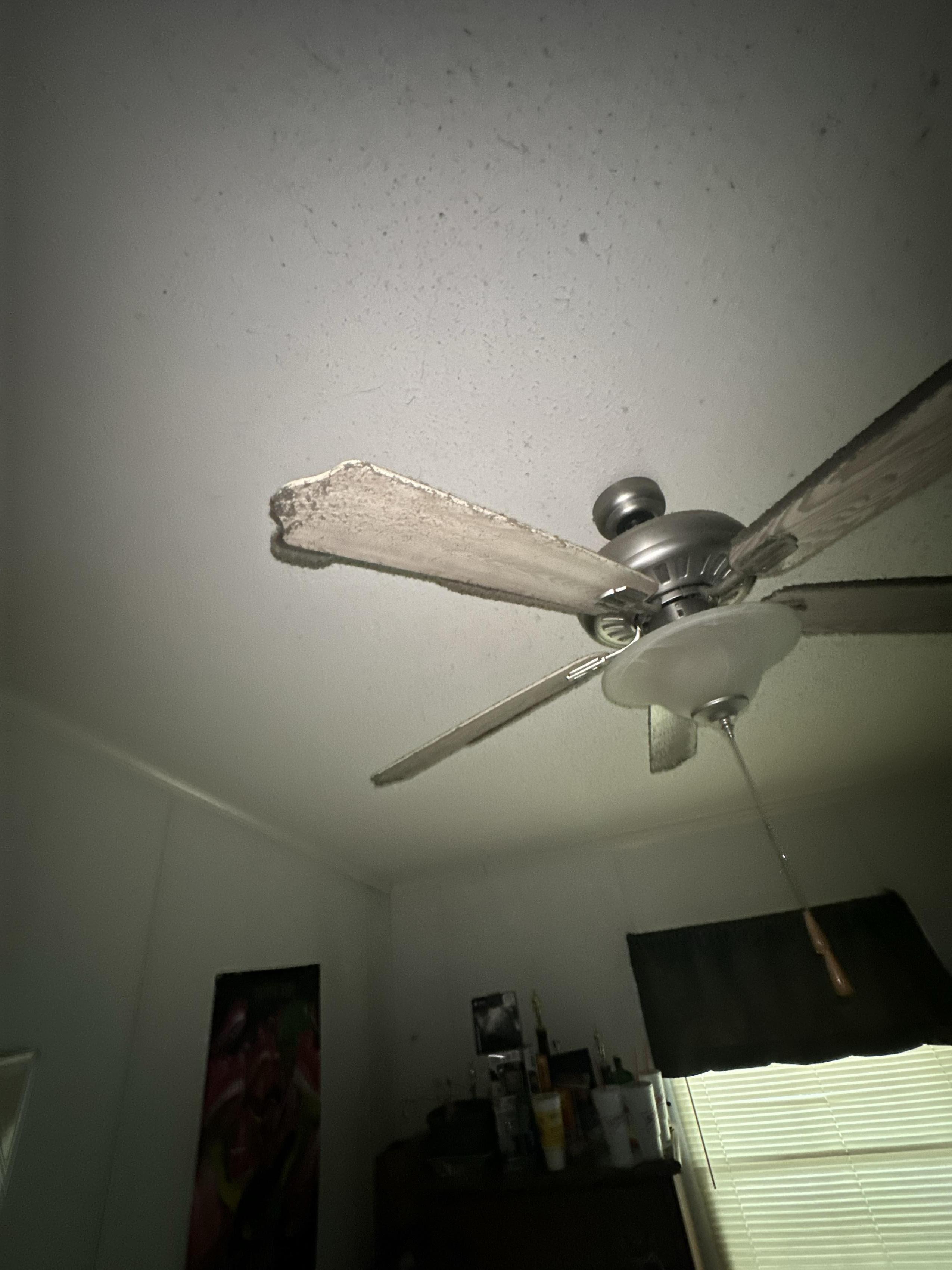 Mold Inspection and Remediation