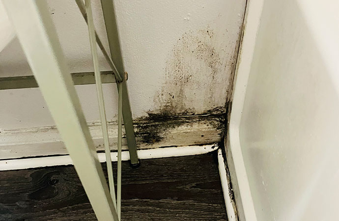 Common Places for Hidden Mold