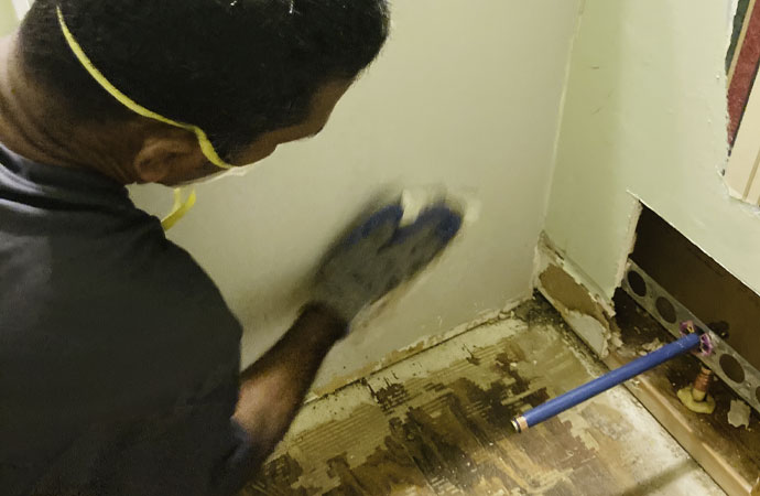 DIY vs. Professional Mold Removal