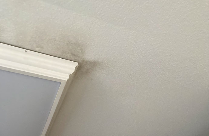 Preventing and Addressing Hidden Mold