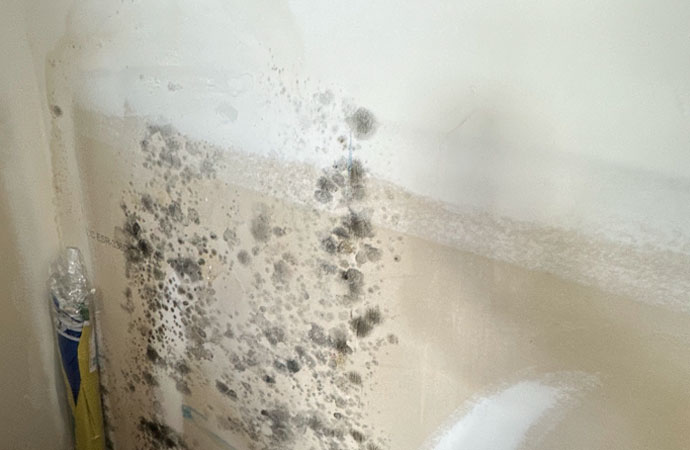 Signs of Hidden Mold