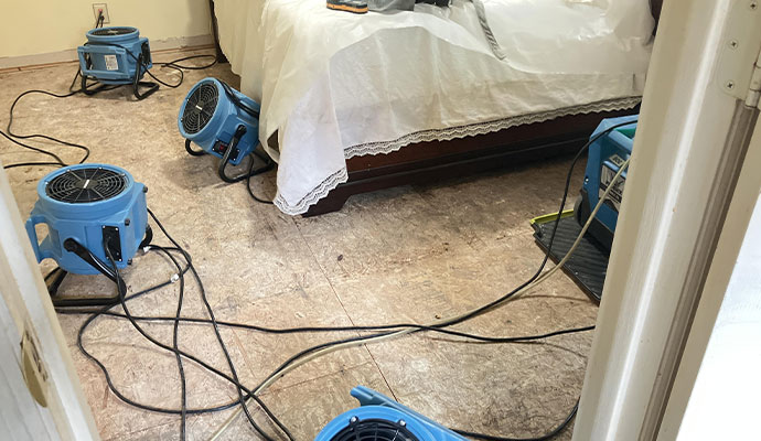 Water Damage Restoration Service in Florence