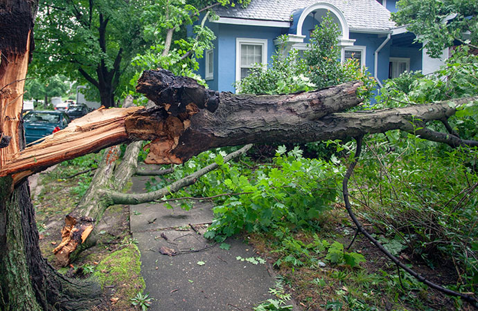 Hurricane Charley