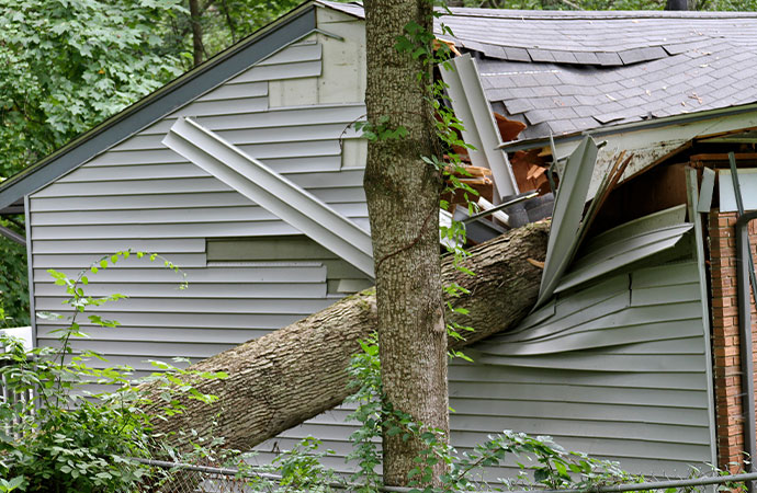 Storm Damage Restoration 