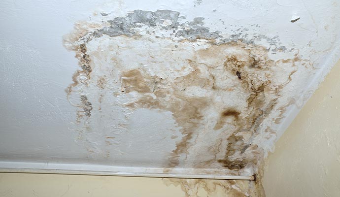 Ceiling severely damaged by water